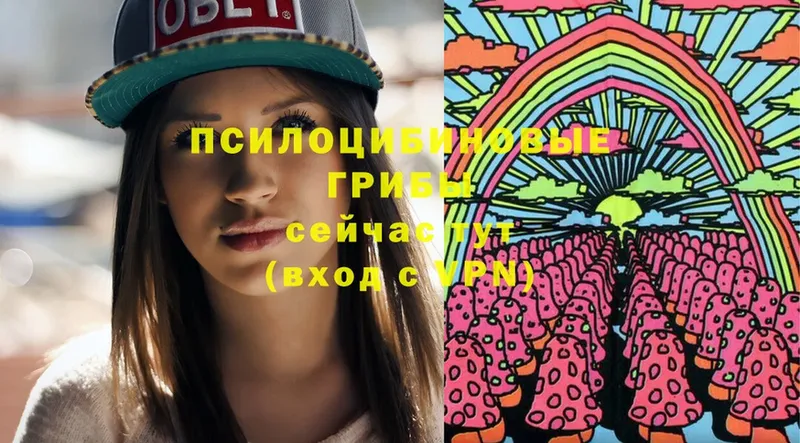 OMG ССЫЛКА  Любим  Псилоцибиновые грибы Psilocybine cubensis 